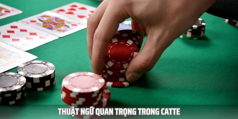 Quy Trình Nhận Catte 789club