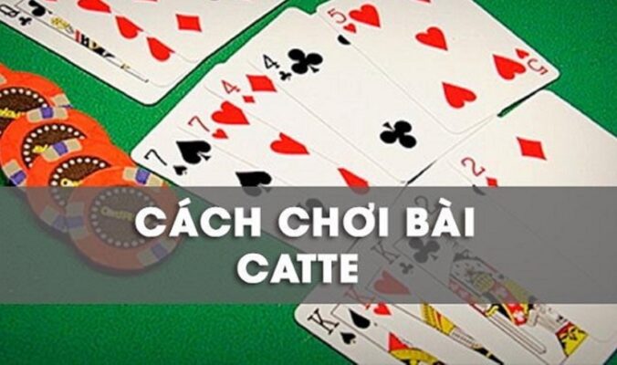 Cách Sử Dụng Catte 789club Hiệu Quả