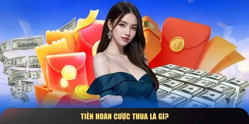 Điều Kiện Và Quy Định Áp Dụng Ưu Đãi Hoàn Trả Cược 789club