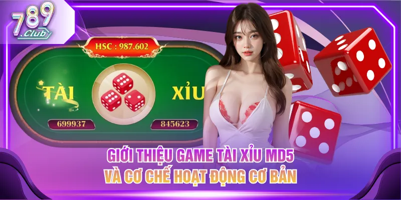Giới thiệu game Tài Xỉu MD5 và cơ chế hoạt động cơ bản