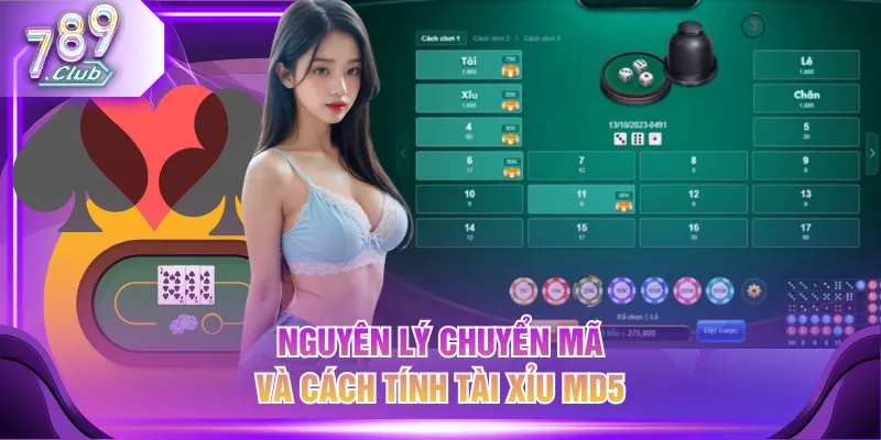 Nguyên lý chuyển mã và cách tính Tài Xỉu MD5