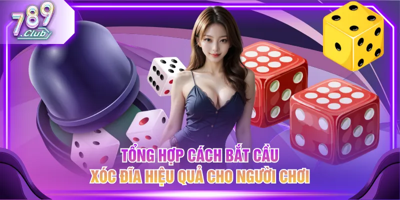 Tổng hợp cách bắt cầu Xóc Đĩa hiệu quả cho người chơi